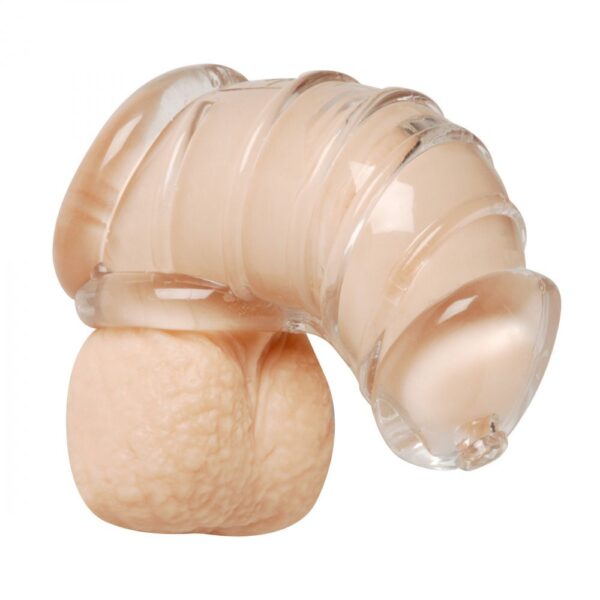 Detained Soft Body Chastity Cage - Image 3