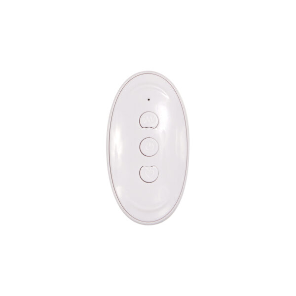 Evolved Remote Rotating Rabbit - Image 4