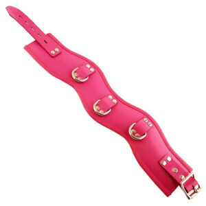 Pink Bondage Gear